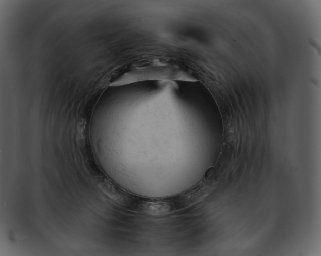 X0000092310275200710051244