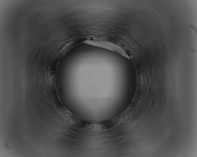 X0000092310276200710051244