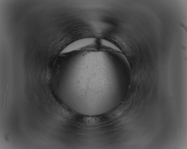 X0000092310277200710051244
