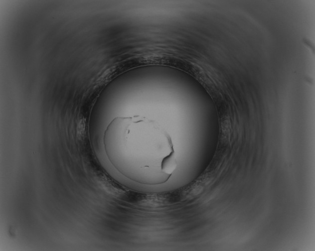 X0000092310278200710051244