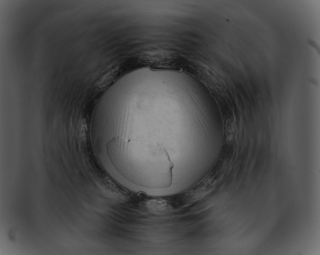 X0000092310279200710051244