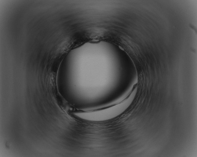 X0000092310280200710051244
