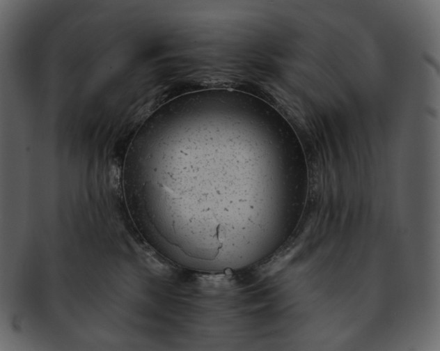 X0000092310281200710051244