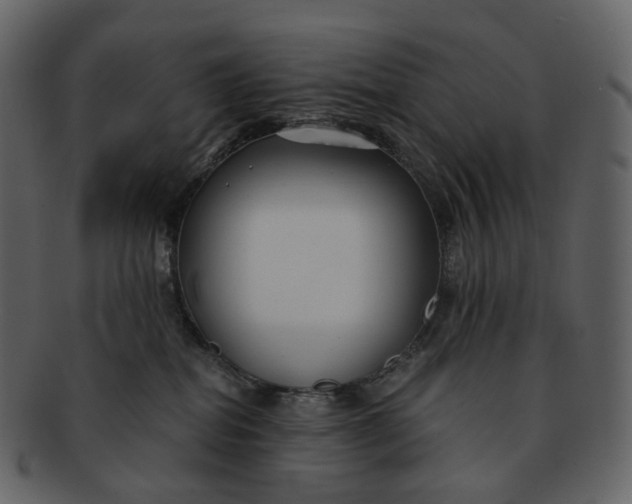 X0000092310282200710051244