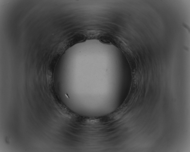 X0000092310283200710051244