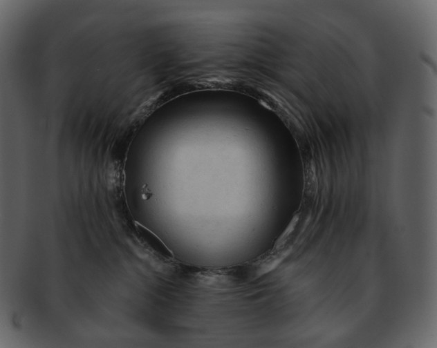 X0000092310284200710051244