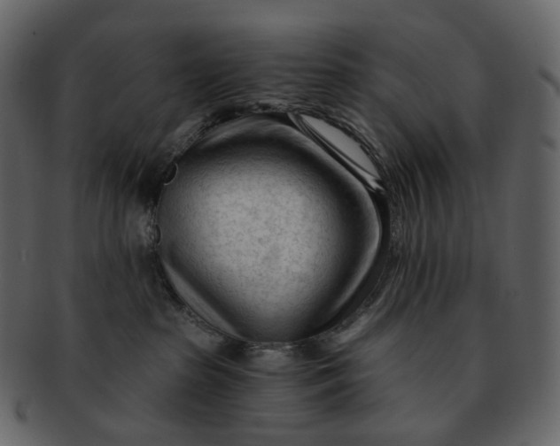 X0000092310285200710051244