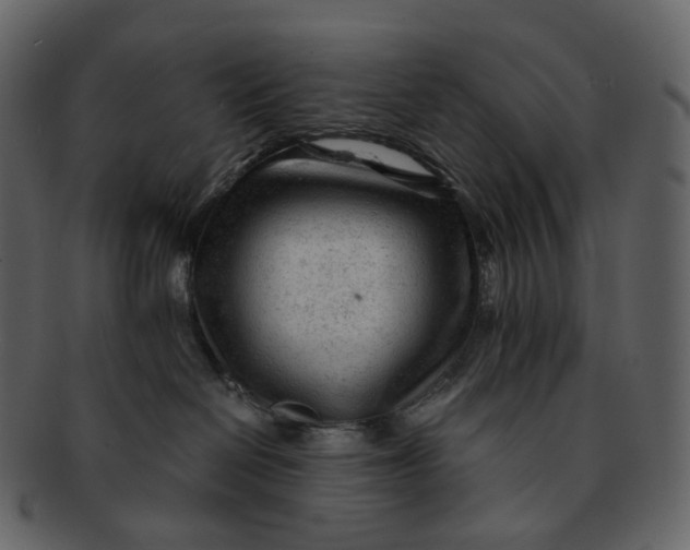 X0000092310286200710051244