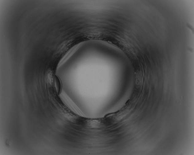 X0000092310287200710051244