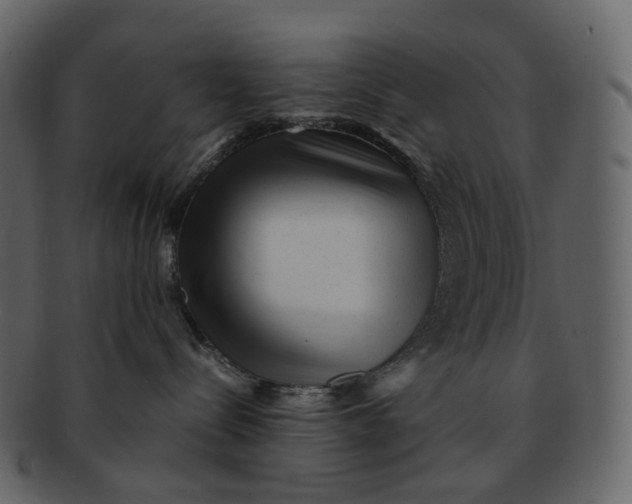 X0000092310288200710051244