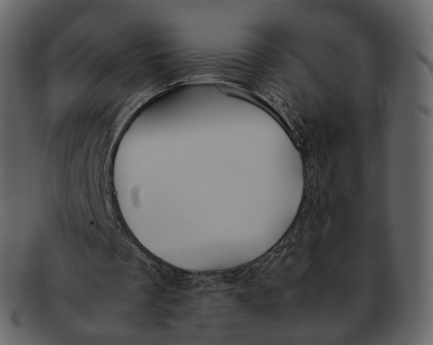 X0000092310289200710051243