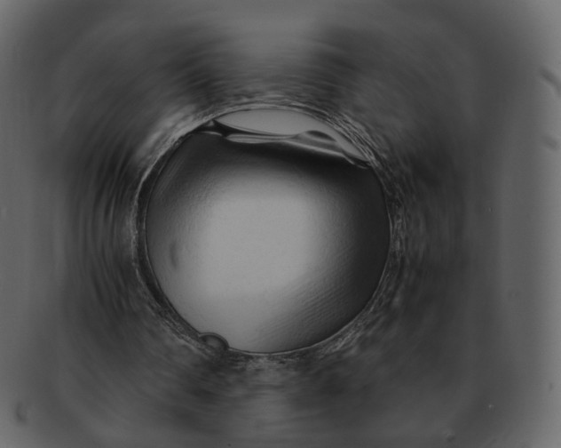 X0000092310290200710051243