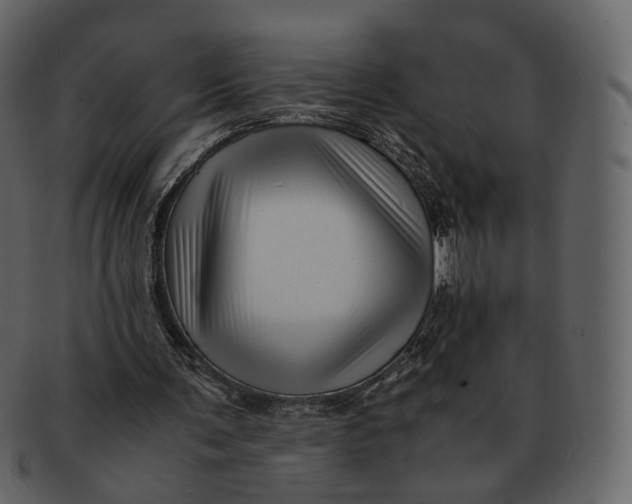 X0000092310291200710051243