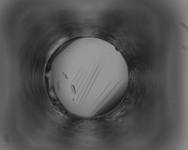 X0000092310292200710051243