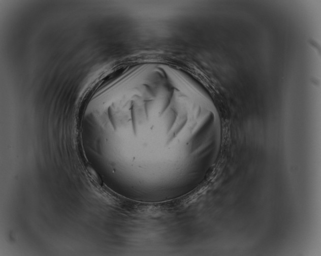 X0000092310293200710051243