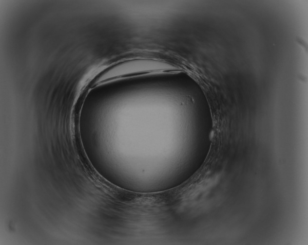 X0000092310294200710051243