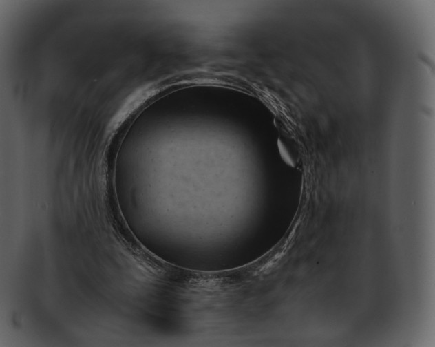 X0000092310295200710051243