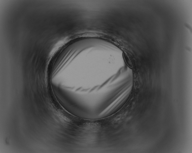X0000092310296200710051243