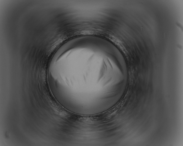 X0000092310297200710051243