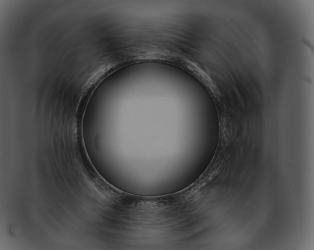 X0000092310298200710051243