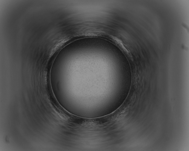 X0000092310299200710051243