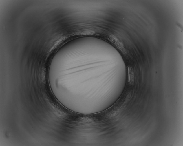 X0000092310300200710051243