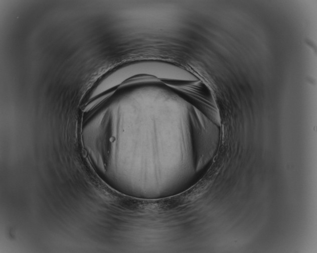 X0000092310301200710051243
