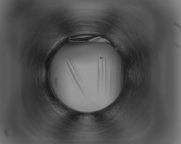 X0000092310304200710051243