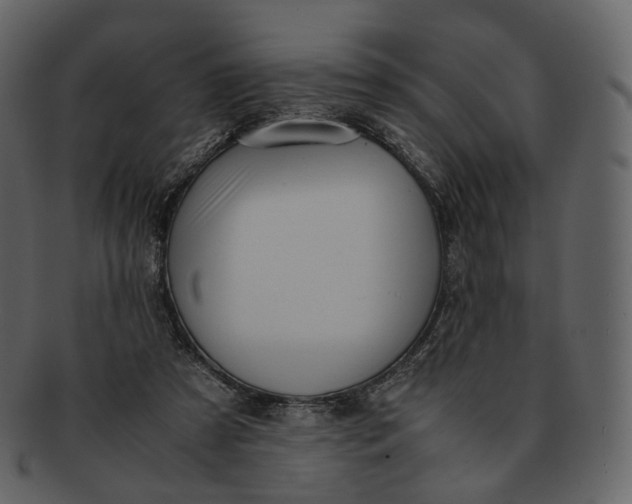 X0000092310305200710051243