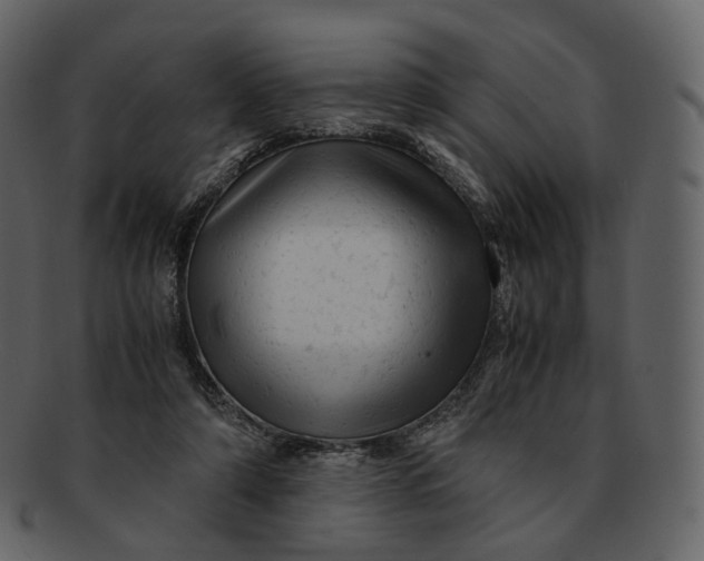 X0000092310306200710051243