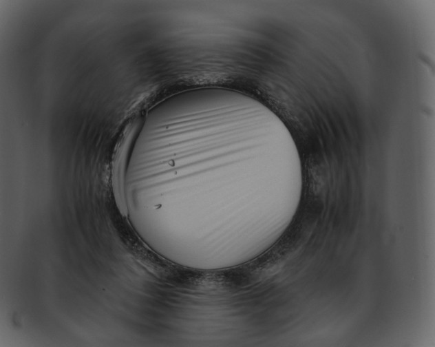 X0000092310308200710051243