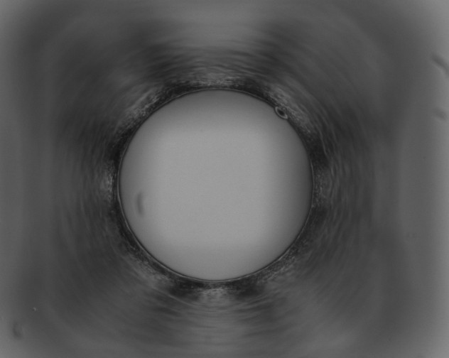 X0000092310309200710051243