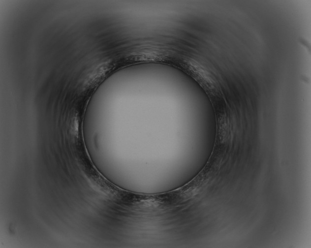 X0000092310310200710051243