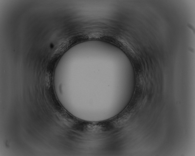 X0000092310311200710051243