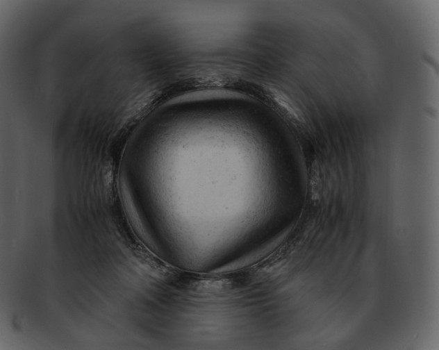 X0000092310314200710051243