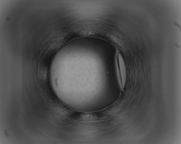 X0000092310315200710051243