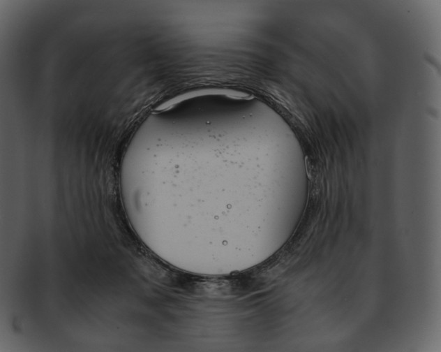 X0000092310317200710051243