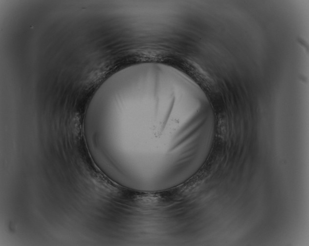 X0000092310318200710051243