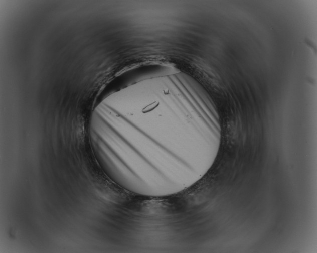 X0000092310320200710051243