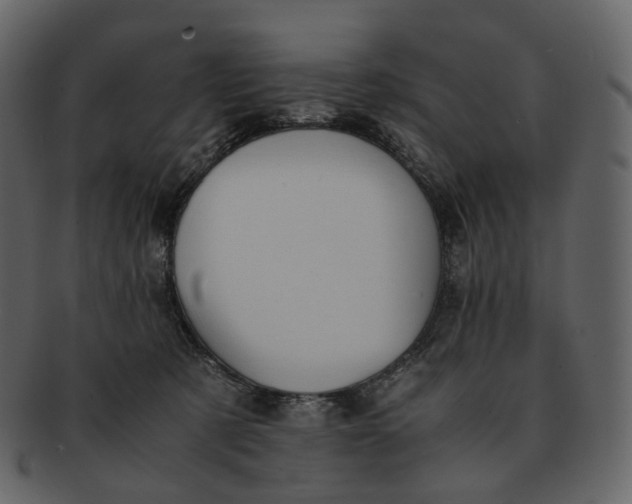 X0000092310321200710051243