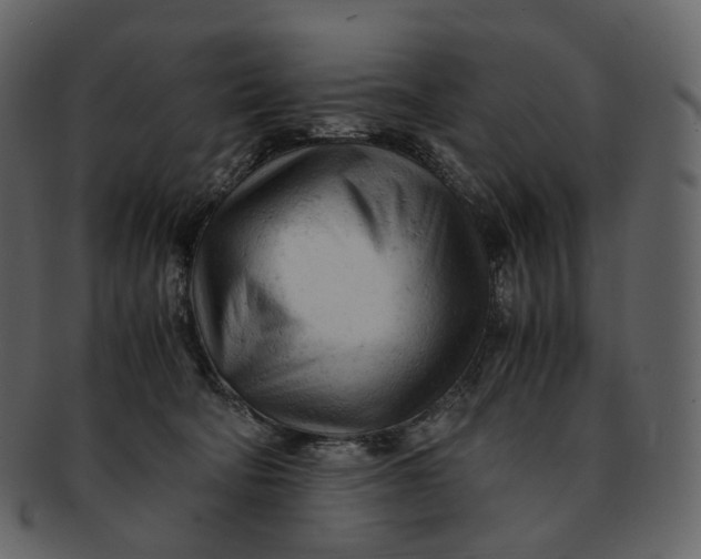 X0000092310322200710051243