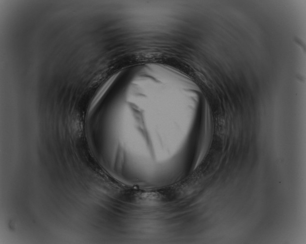 X0000092310324200710051243