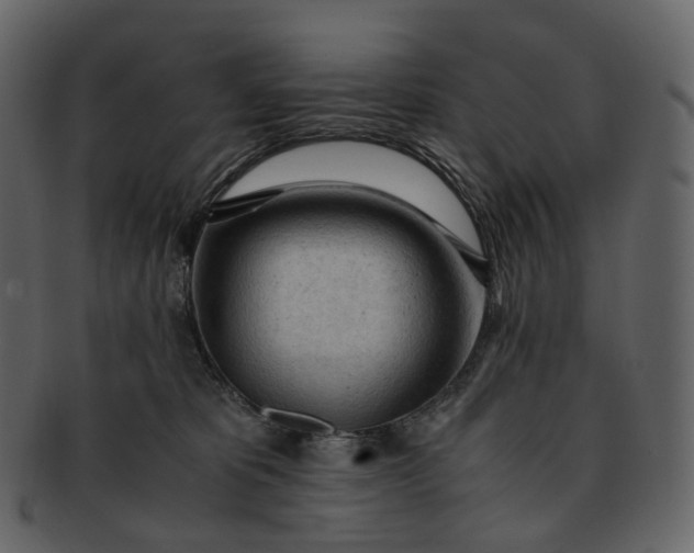 X0000092310325200710051243