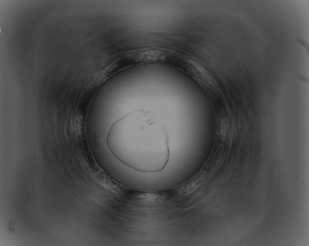X0000092310326200710051243