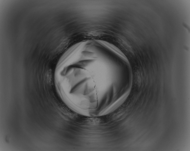 X0000092310328200710051243