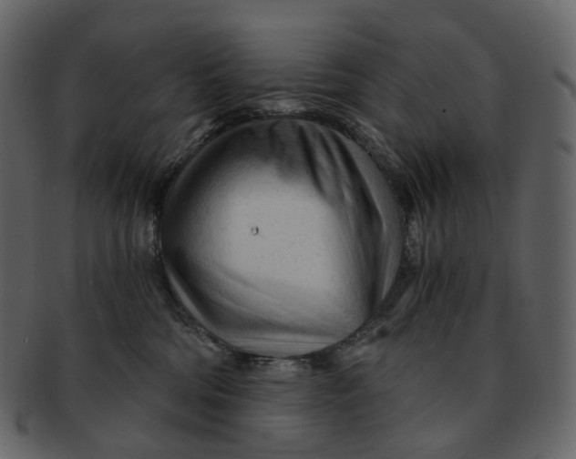 X0000092310330200710051243