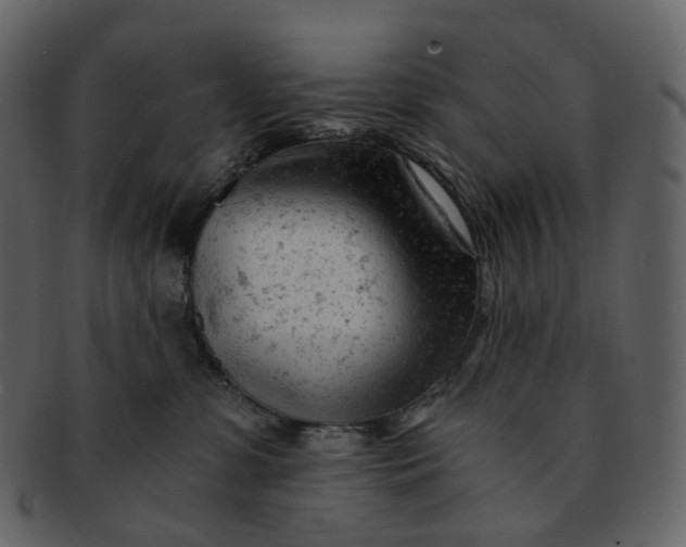 X0000092310331200710051243