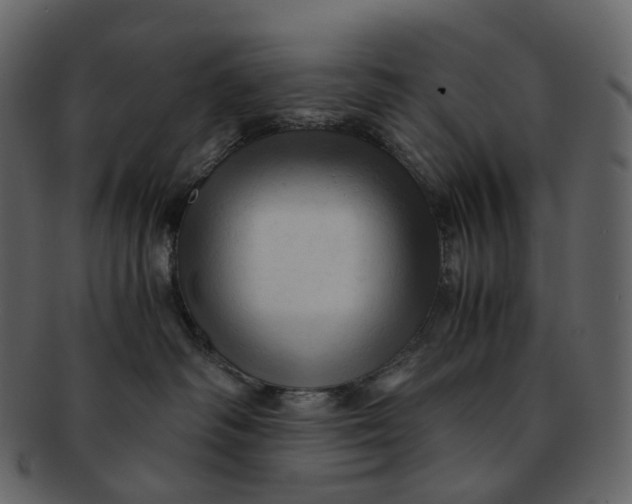 X0000092310334200710051243
