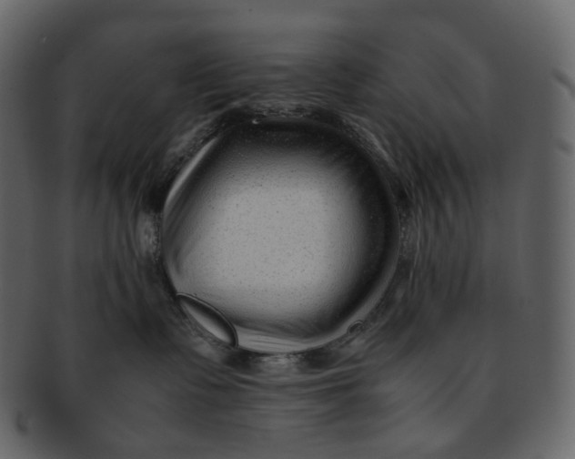 X0000092310335200710051243