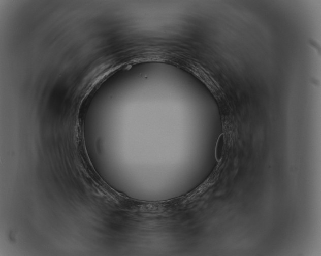 X0000092310338200710051242